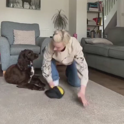 Pelloss FurSwipe
